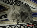 crafts_by_dawn_3013043.jpg