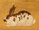 crafts_by_dawn_3014041.jpg