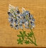 crafts_by_dawn_3014046.jpg