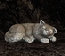 crafts_by_dawn_3113025.jpg