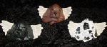 crafts_by_dawn_3113040.jpg